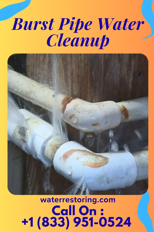 Burst Pipe Water Cleanup in North College Hill, OH