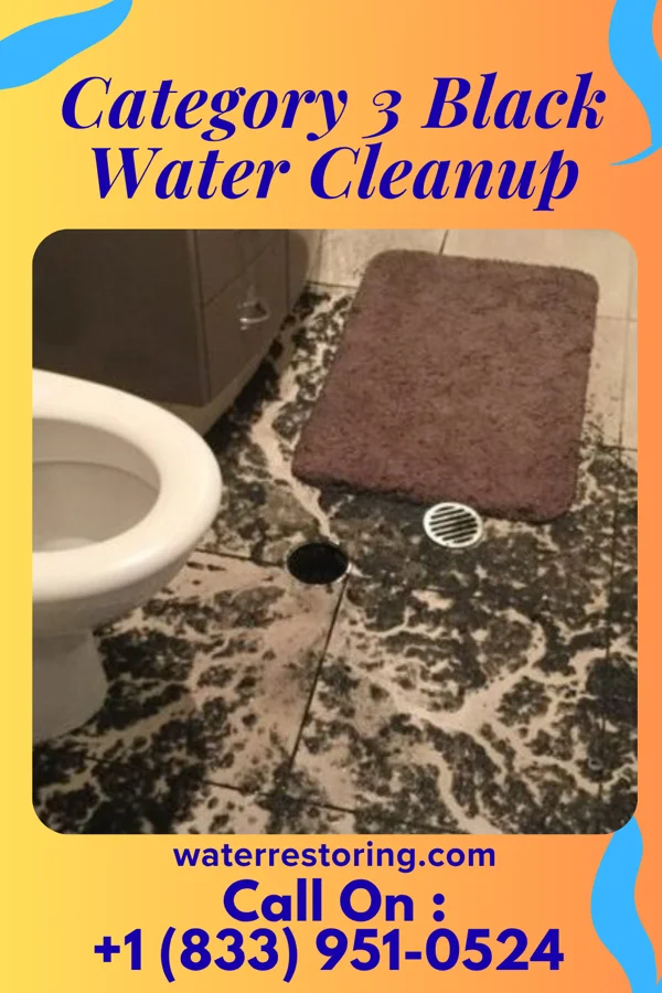 Category 3 Black Water Cleanup in North College Hill, OH