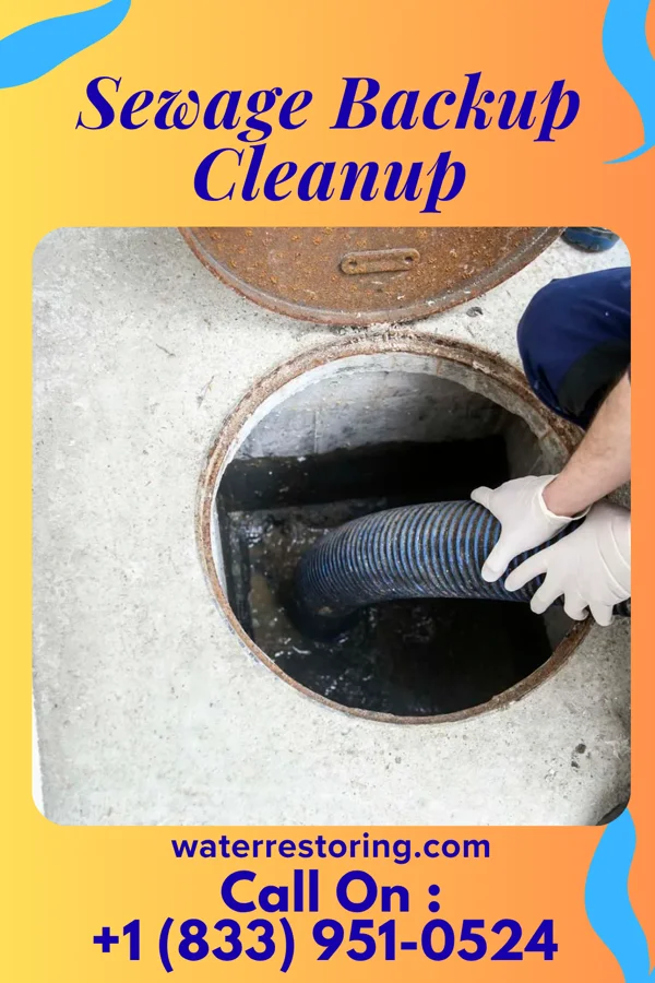 Sewage Backup Cleanup in North College Hill, OH